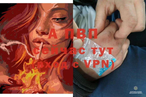скорость Алексеевка